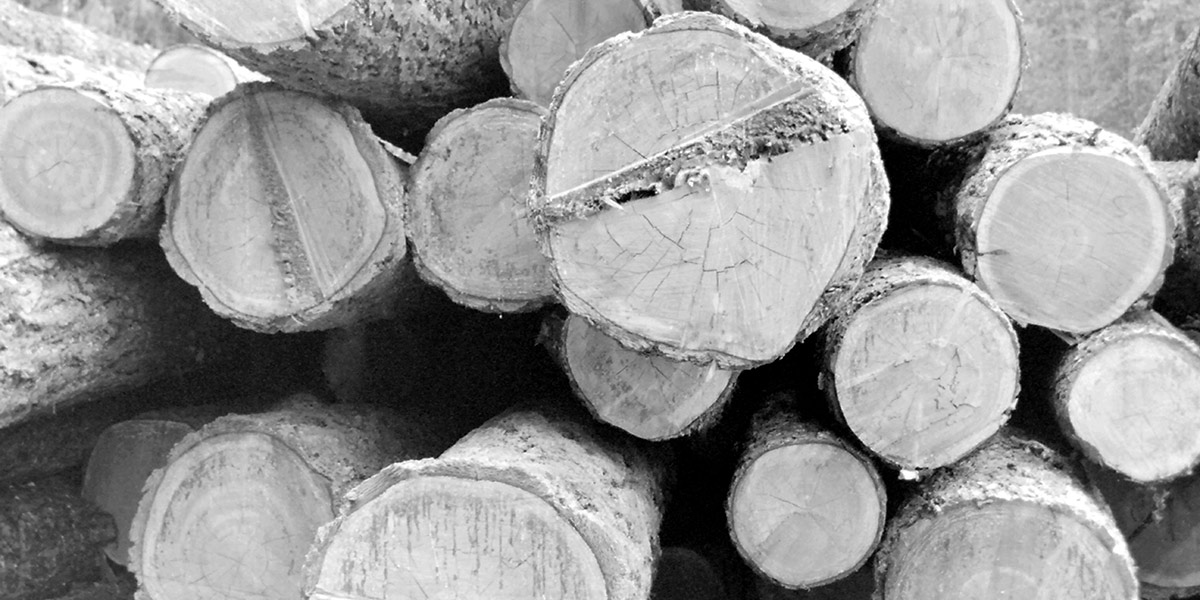 Timber Frame Design - McLeod Creek Timber Frame Company